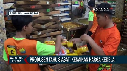 Télécharger la video: Pusing Harga Kedelai Impor Melonjak, Pengrajin Tahu & Tempe Mengaku Kesulitan Siasati Harga Jual