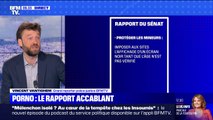 Le Sénat dévoile un rapport accablant sur le porno français
