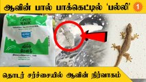 Lizard in Aavin Milk | ஆவின் பால் பாக்கெட்டில் ஈ மிதந்த சம்பவத்தை தொடர்ந்து மீண்டும் கவனக்குறைவு