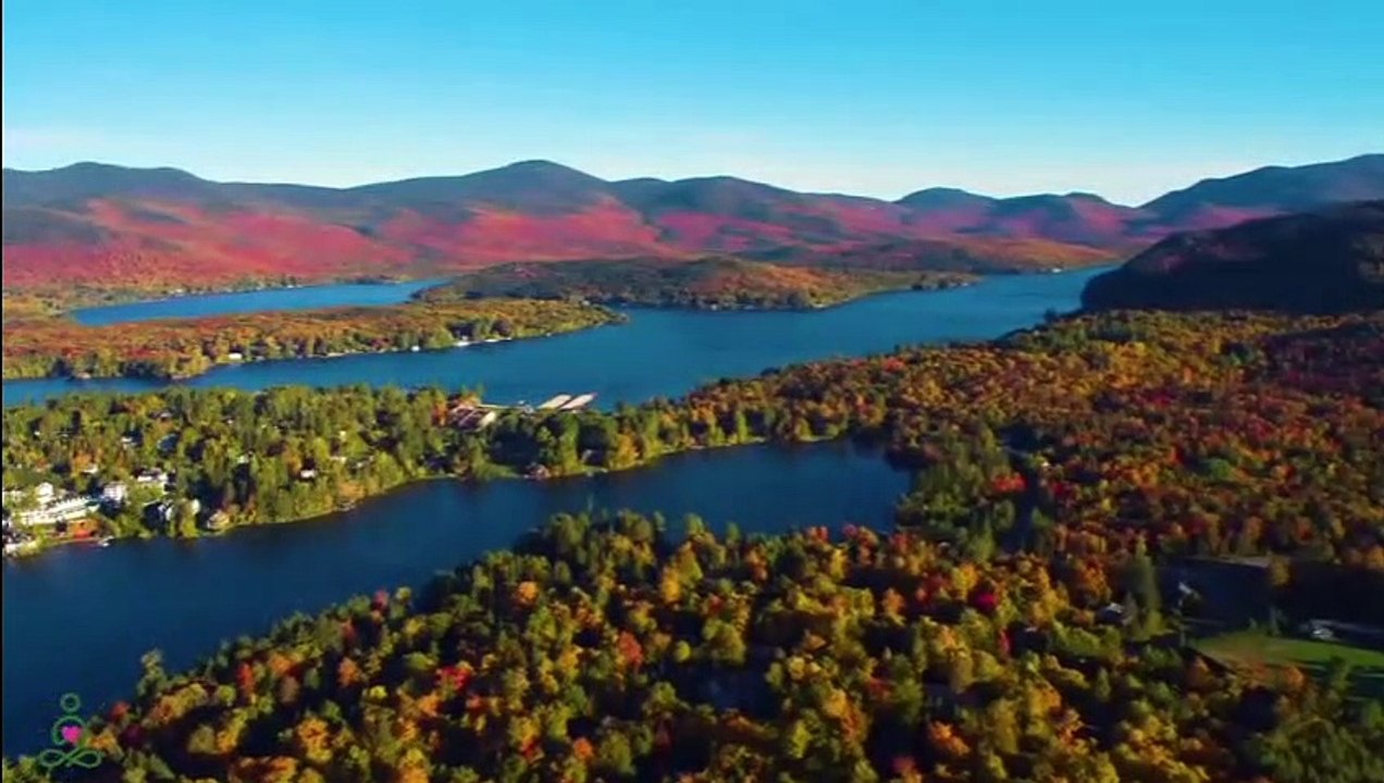 RESTAURATION DU SYSTÈME NERVEUX  Musique douce, apaise le système nerveux et fait plaisir à l'âme