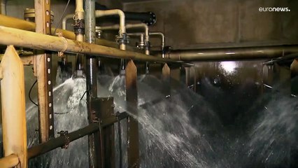 Bientôt une pénurie d'eau aux Pays-Bas ?