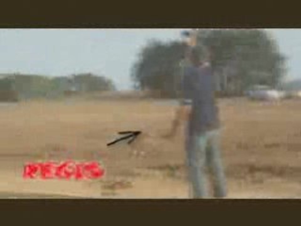 Regis filme ses vacances à Concarnau