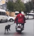 BAĞCILAR'DA MOTOSİKLETİN YANINDA KÖPEĞİ KOŞTURAN ŞÜPHELİYE CEZA