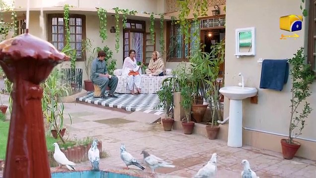 Damad Hai Tou Paon Pakar Lein