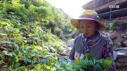 한국기행 - Korea travel_작은 마을에 삽니다 3부- 구름도 쉬어가네, 와운마을_#001