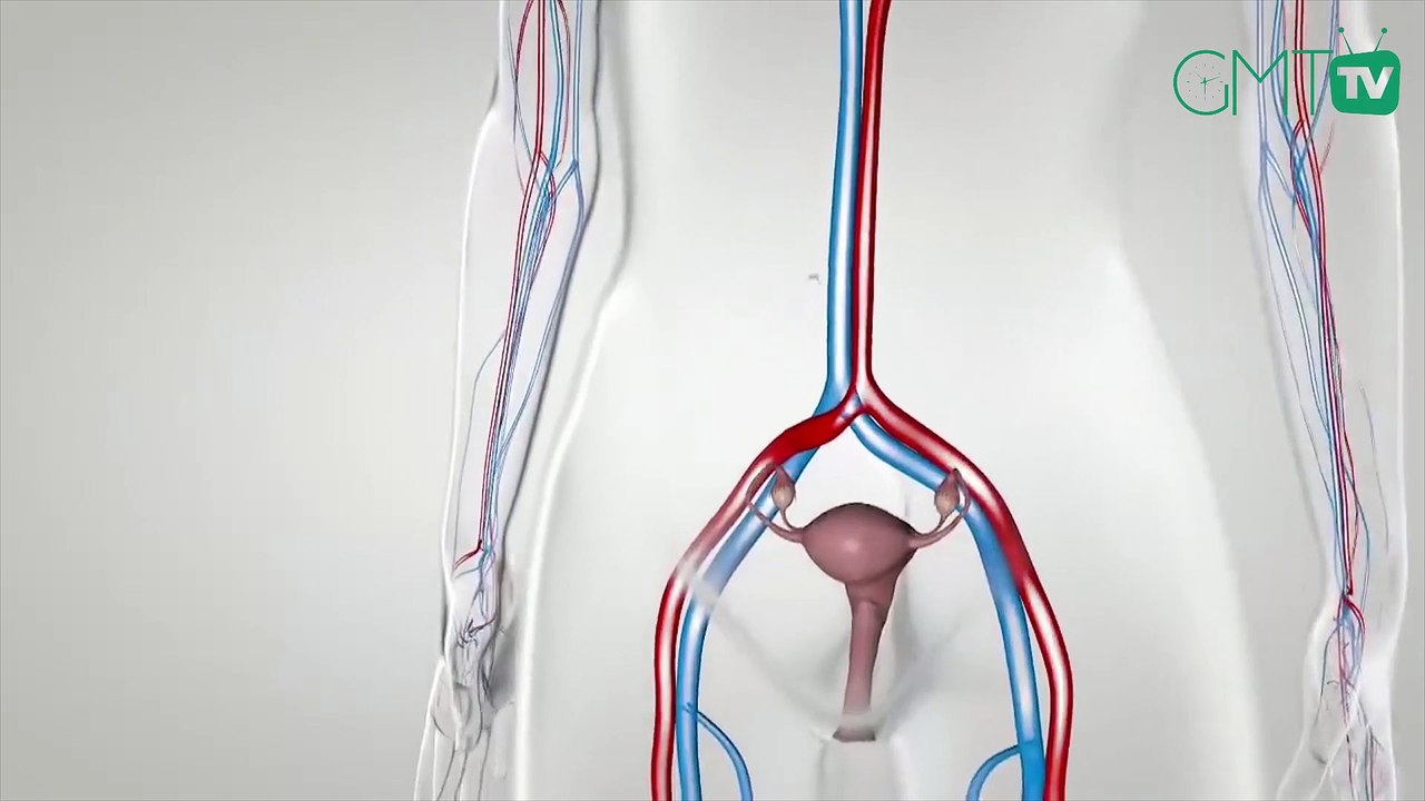 [#Reportage] Santé | Règles douloureuses: Quand s’en inquiéter ?