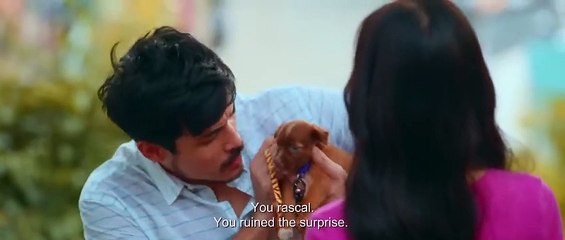 Always Bande-annonce (EN)