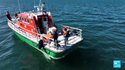 Microalgues : nos océans sont-ils toxiques ?