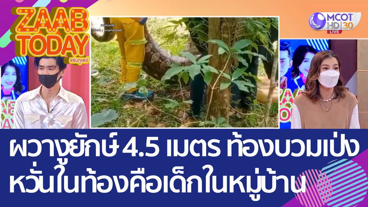 ผวา! พบงูยักษ์ยาว 4.5 เมตร ท้องบวมเปง ชาวบ้านหวั่นในท้องคือเด็กในหมู่บ้าน (28 ก.ย. 65) แซ่บทูเดย์