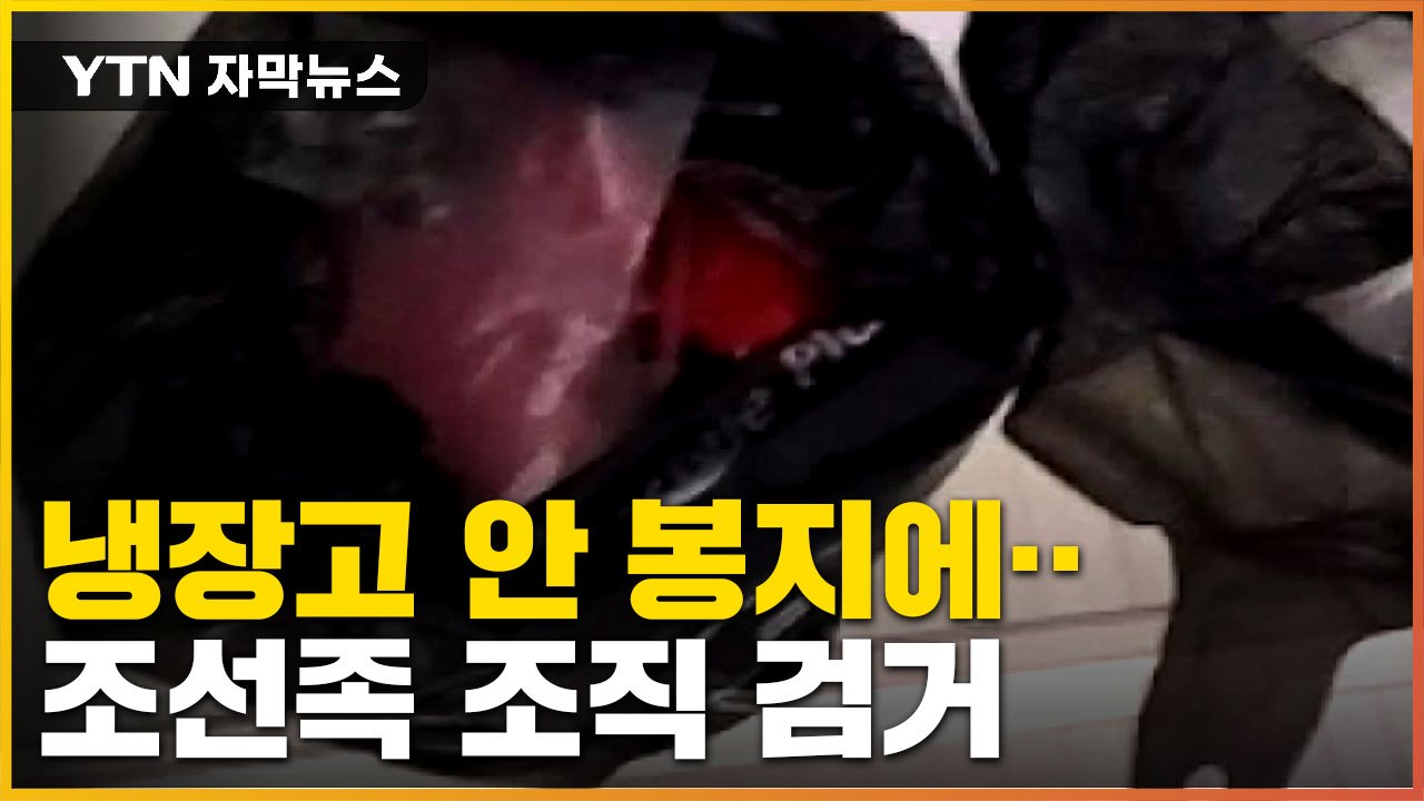 [자막뉴스] 원룸 화장실 천장 들어 올리자...조선족 조직 검거 / YTN