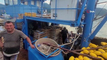 Vatandaşlara ücretsiz dağıtıldı! Karadeniz'de heyecanlı dakikalar