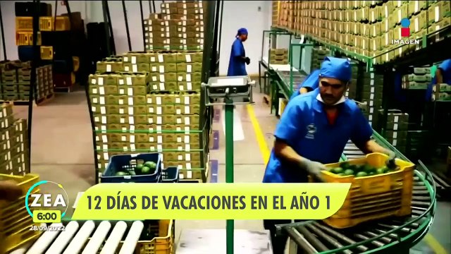Iniciativa laboral para ampliar los días de vacaciones es aprobada en el Senado