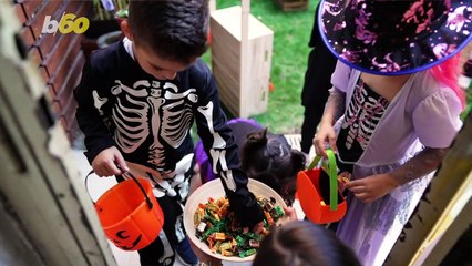 Sugar Overdose? New Survey Predicts How Big Candy Sales Will Be In 2022