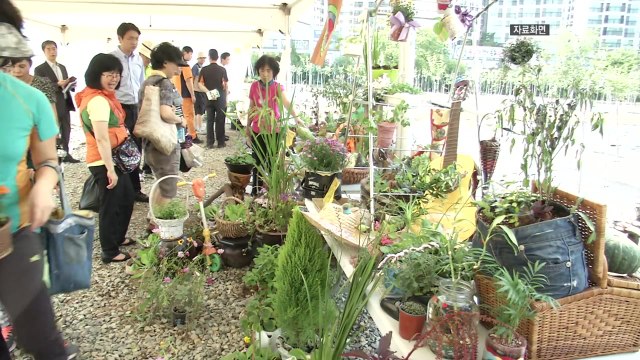 [대구] 대구 도시농업박람회 30일부터 나흘간 개최 / YTN