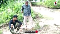 ભરૂચ: બાથરૂમમાં સાત ફૂટ લાંબો અજગર આવી ચઢ્યો