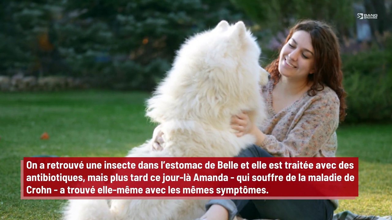 Une femme hospitalisée pendant trois jours après que son chien de compagnie lui a fait caca dans la bouche !