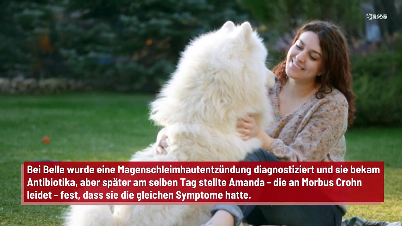 Kot ihres Hundes landet im Mund der Besitzerin