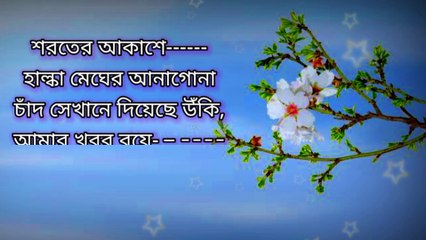 Bangla Kobita শরতের আকাশে--/bangla kobita 2022,