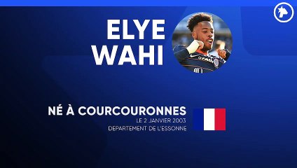 La Fiche technique de Elye Wahi