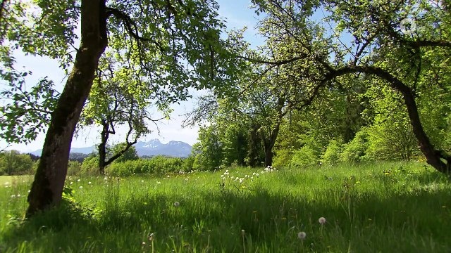 Sturm der Liebe 3900