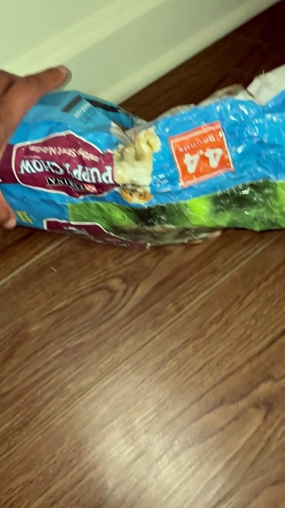 Puppy Is Greedy For Kibble