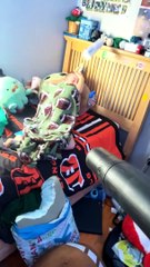 Bugging the Kids With a Leaf Blower