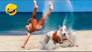 The best of these incredible funny animals 2022 shorts