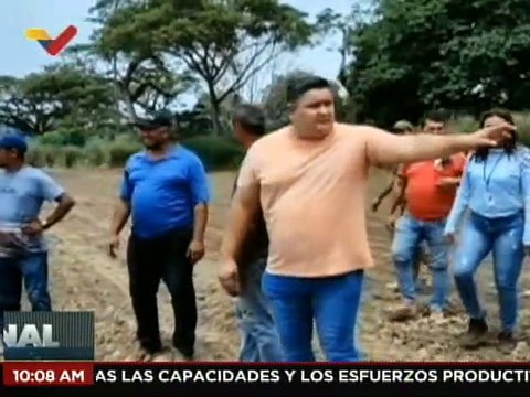 Plan piloto de producción de semillas de frijol inicia en Barinas