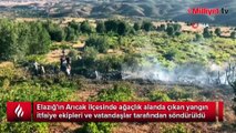 Elazığ'da ağaçlık alanda yangın: Vatandaşlar seferber oldu
