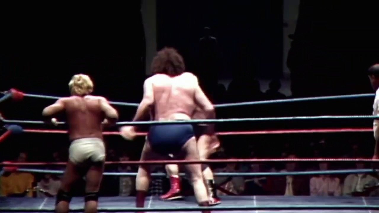 Hulk Hogan & Andre the Giant vs.Heenan Family