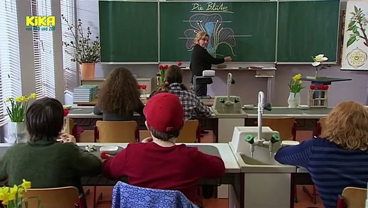 Schloss Einstein Staffel 11 Folge 33 HD Deutsch