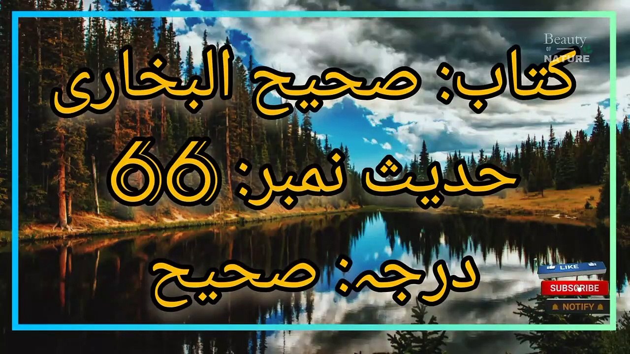 Sahih Bukhari Hadees No.66 _ Hadees Nabvi in Urdu _ Bukhari Hadees _ Beauty of NatureAR