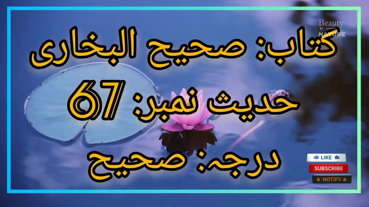 Sahih Bukhari Hadees No.67  Hadees Nabvi in Urdu  Bukhari Hadees  Beauty of NatureAR