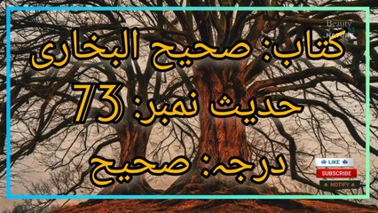 Sahih Bukhari Hadees No.73 Hadees Nabvi in Urdu  Bukhari Hadees  Beauty of NatureAR