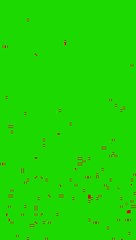 New Tiktok Video DR FATIMA With Dr Haroon And Dr Maheen Baloch