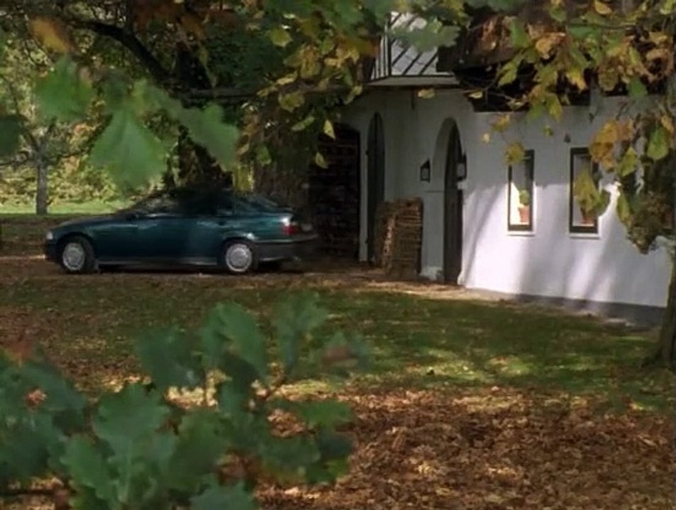 Stockinger staffel 1 folge 10 hd deutsch