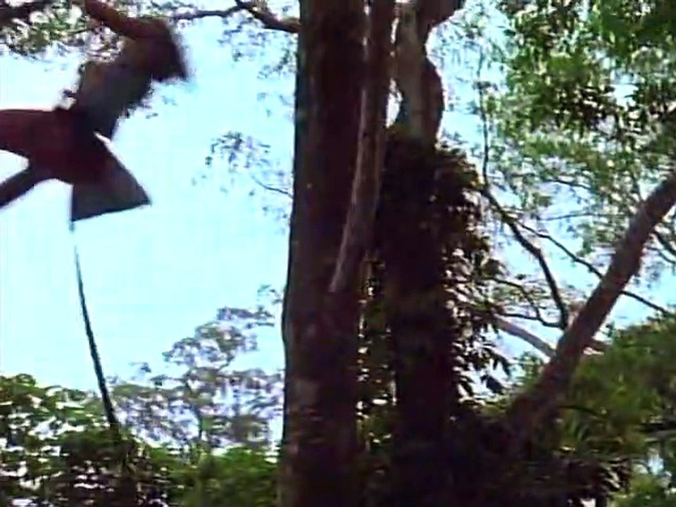 Tarzan (1991) Staffel 1 Folge 14 HD Deutsch