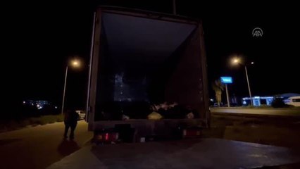 Aydın haberi | Söke'de 90 düzensiz göçmen yakalandı