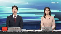 아이티 갱단 폭력사태…대사관, 우리 교민 철수 권고