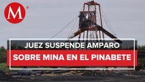 Juez deja de estudiar amparo del dueño de mina El Pinabete