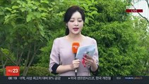 [날씨] 오전까지 내륙 곳곳 짙은 안개…전국 맑고 큰 일교차