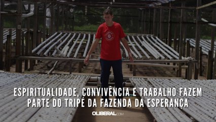 Espiritualidade, convivência e trabalho fazem parte do tripé da Fazenda da Esperança
