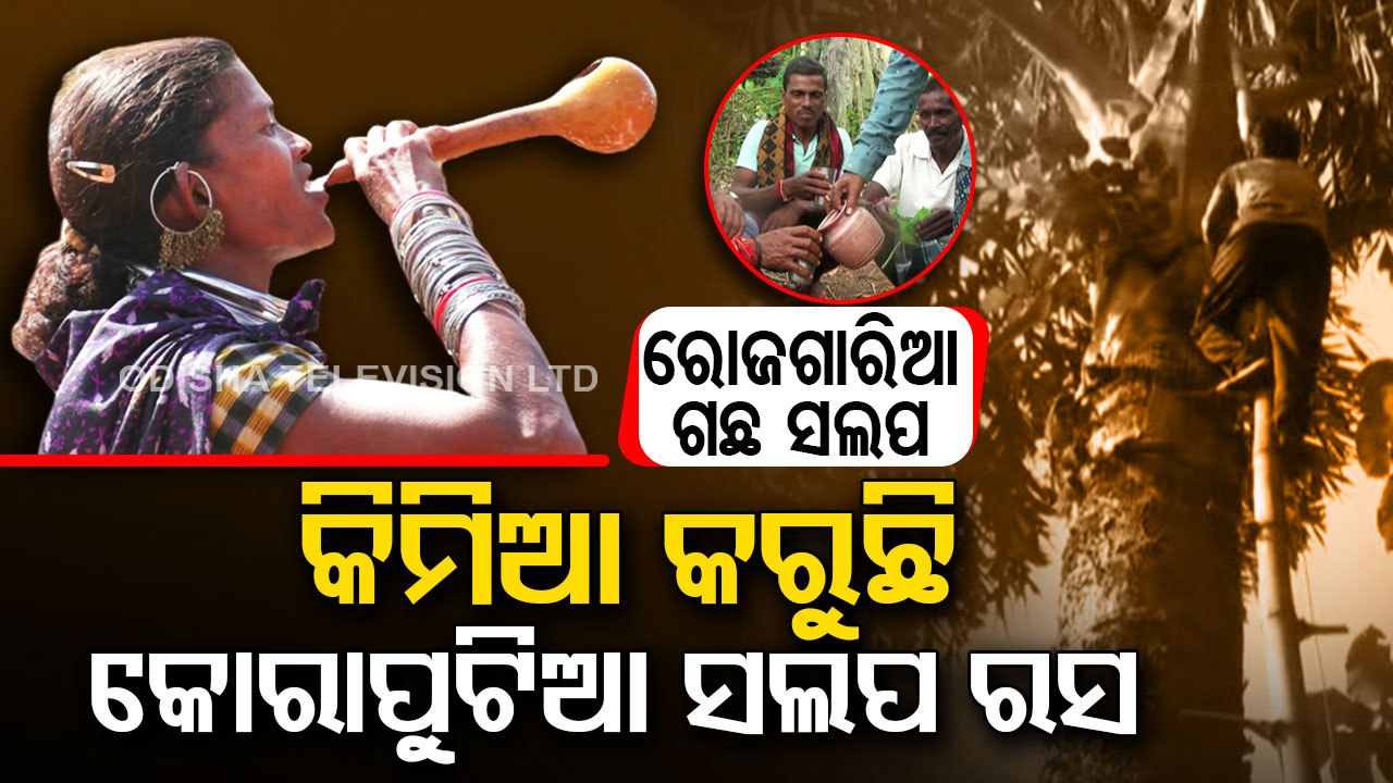 Special Story | Move over beer! Party like tribals with the traditional 'Salapa' drink
