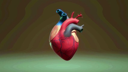 3D view of the Heart