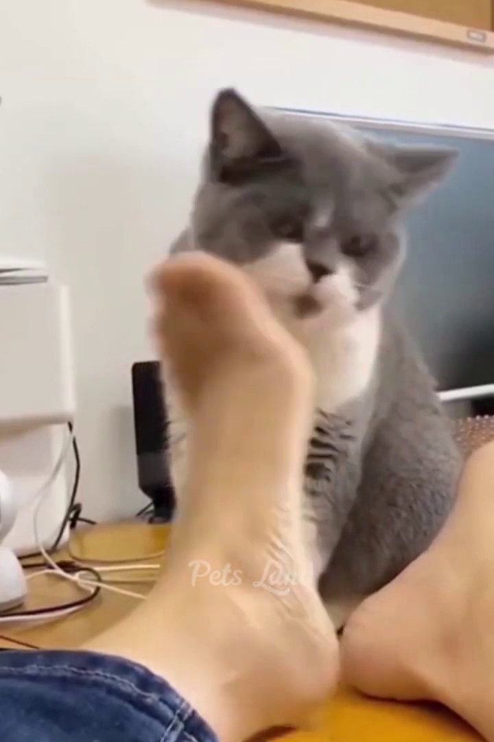 social media video funny