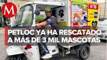 Petloc, el colectivo que busca a mascotas desaparecidas en CdMx y Edomex