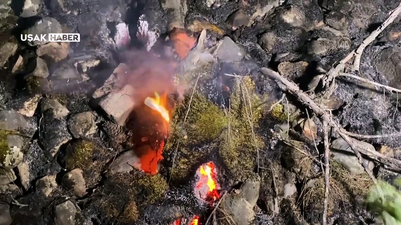 Uşak'ta ormanlık alanda çıkan yangın kontrol altına alındı