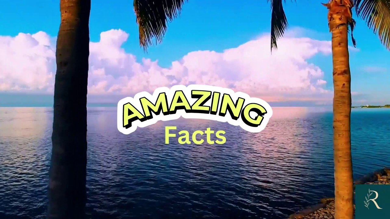Quick facts  interesting facts amazing facts to Make You the Most Interesting Person in The Room