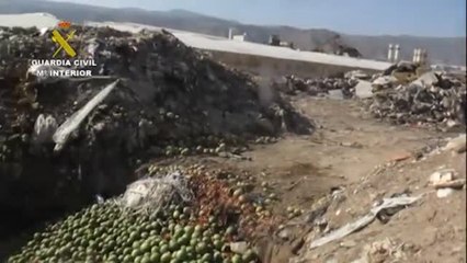 Una empresa de Almería se enfrenta al cierre por un delito contra el medio ambiente y la salud