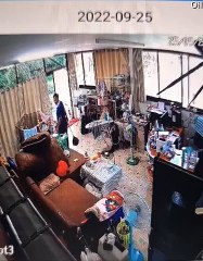 Snake envoie une femme et un chien courir - Buzz Buddy